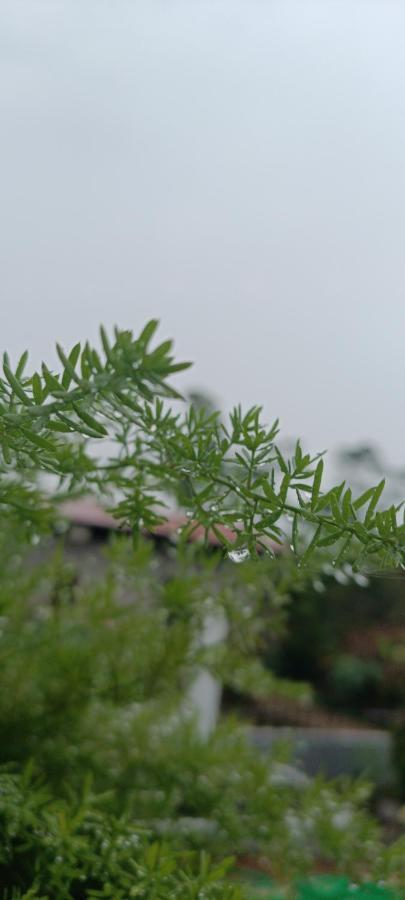 Doi Che Hotel 木州县 外观 照片